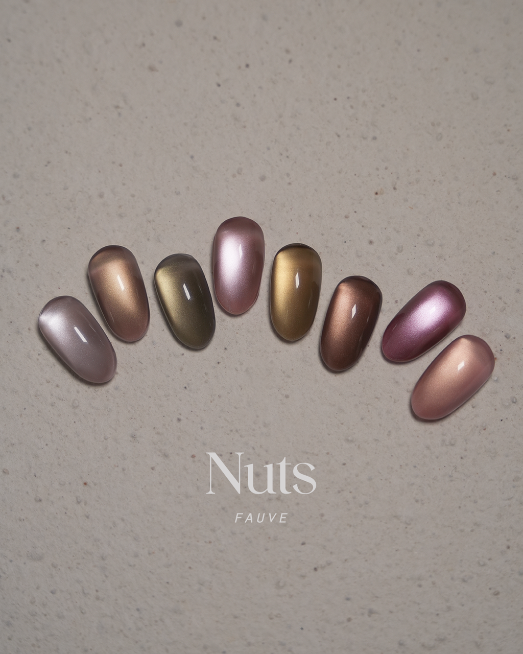 【FAUVE】Nuts: Reflective & Magnet Collection 16-piece set